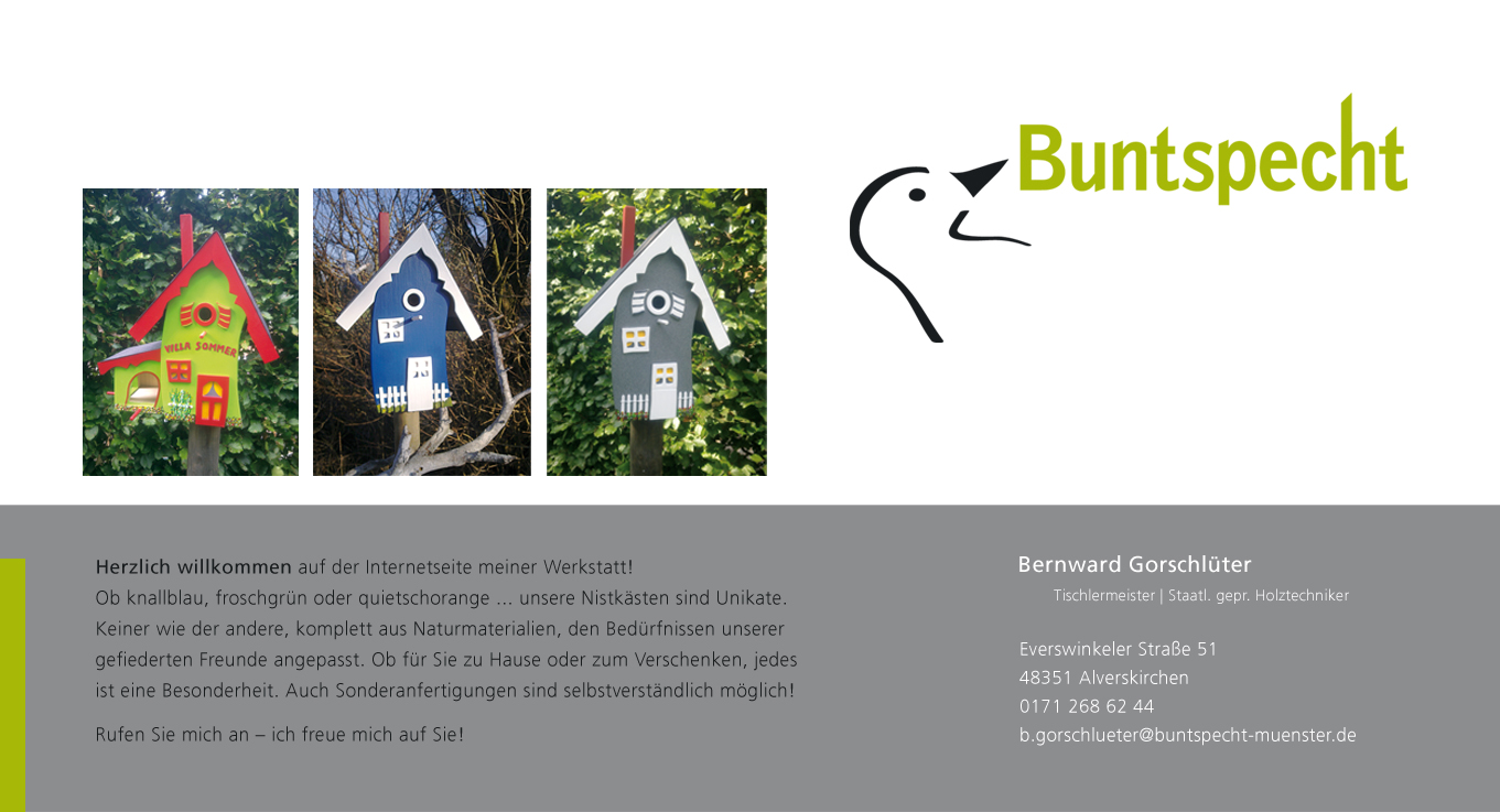 Buntspecht Münster